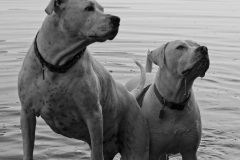 Gunnar-and-Remy