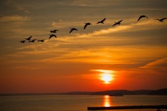 Bar-Harbor-September-Sunrise