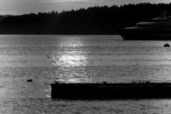 Bayside-Sunrise-in-BW