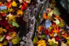 Ground-Effects